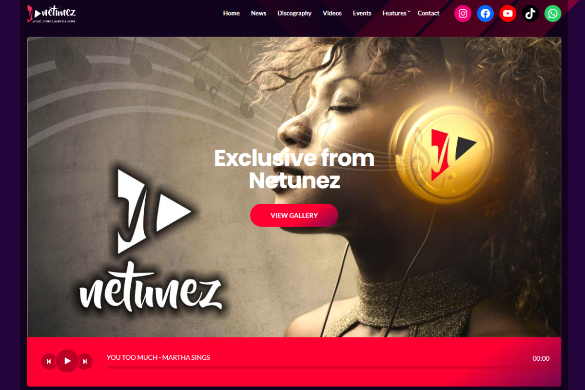 Netunez Partner